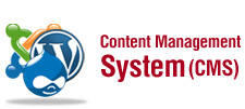 Content Management System